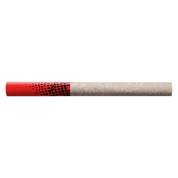 Big Bag O' Buds - Tropicanna Tangie Tube Style Pre Roll