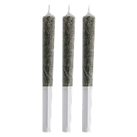 High Plains - Cherry Zookies Diamond Infused Pre-Roll