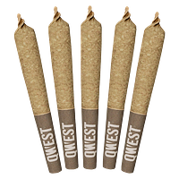 Qwest - Georgia Pie Pre Roll