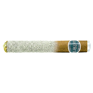 El Blunto - El Bluntito Frosted Regent Og Double Infused Coated Pre Roll