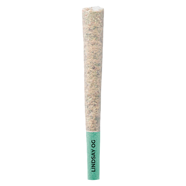 Pistol and Paris - Lindsay Og Pre Roll