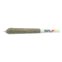 1Spliff - Sativa Pre Roll