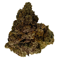 The Oz Store - Purple Kush