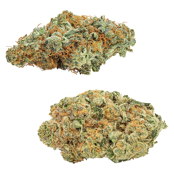 Big Bag O' Buds - CombOz: Amnesia OG & Tropicanna Tangie