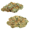 Big Bag O' Buds - CombOz: Amnesia OG & Tropicanna Tangie thumbnail 1