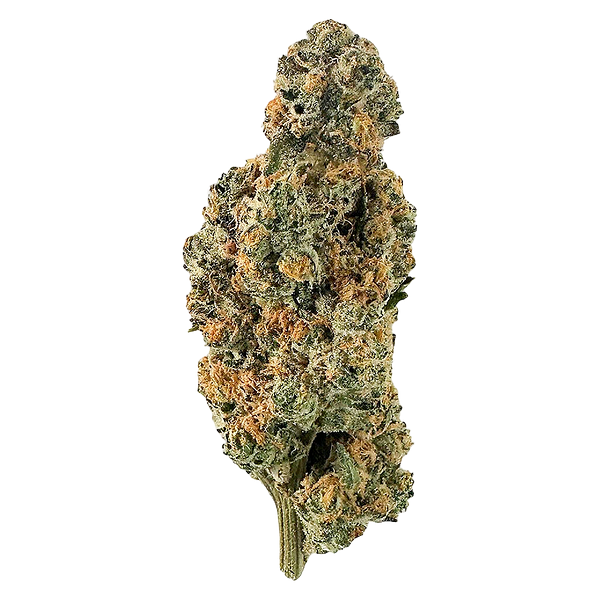 The Florist - Pineapple Truffle Whole Flower