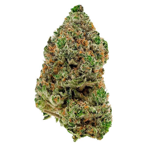 Simply Bare - BC Organic Hibachi Blue