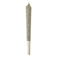 Shed Boys - Lemon Rush Double Infused Pre Roll