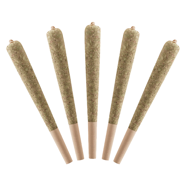 Standard Issue - Wild Berry Infused Pre-Roll