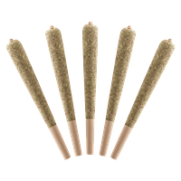 Standard Issue - Wild Berry Infused Pre-Roll