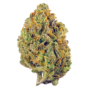 Potluck - Milk & Cookies