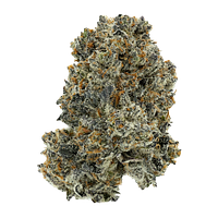 Sticky Scissors - Gmo X F.P.O.G