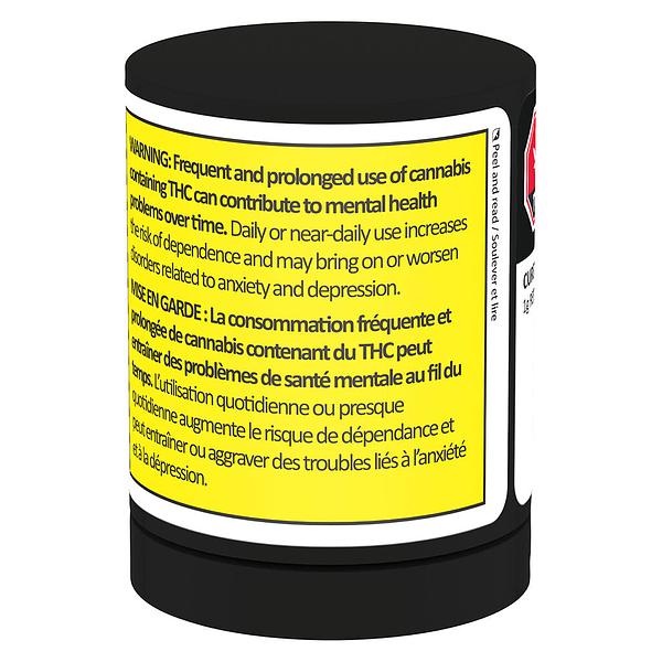 1964 - Comatose FSE Resin image 3