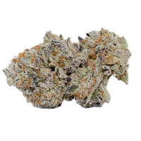 Gas Pack - Pink Waygu Smalls
