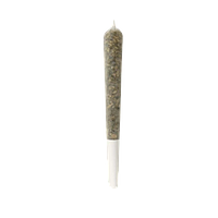 Back Country Organics - Blue Bandita Rosin Infused Pre Roll