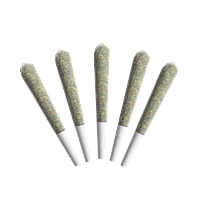 Choklit Park - Acapulco Gold Pre Rolls