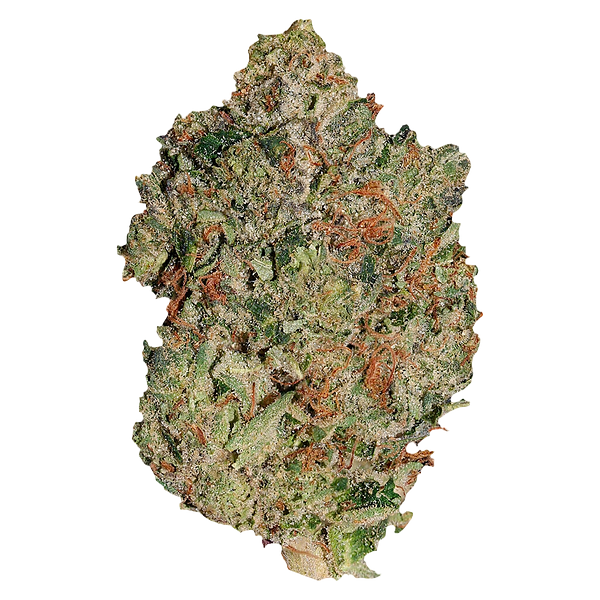 Pistol and Paris - Lindsay Og
