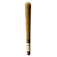 BOLD - RBF Cured Resin Infused Pre-Roll