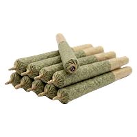 Royal Cannabis Supply Co. - Glitter Bomb Pre-Roll