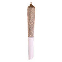 Potluck - Moose Tracks Pre-Roll