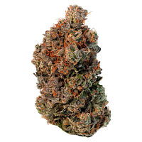 Tommy's Craft Cannabis - Oil And Gas