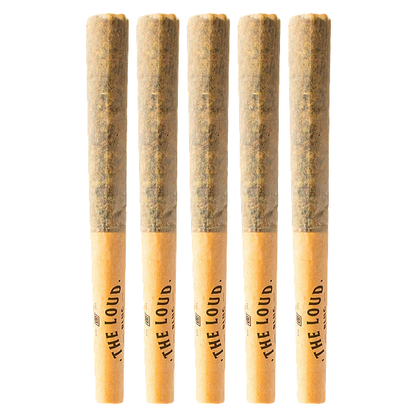 The Loud Plug - With Love From Scarbourough Pre Roll