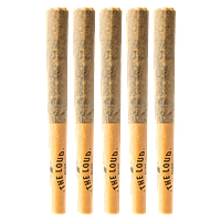 The Loud Plug - With Love From Scarbourough Pre Roll
