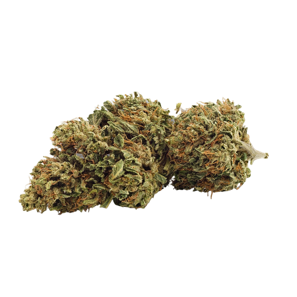 Grown Here Farms - Day Dreamin' Infused CBD Flower