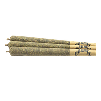 Carmel - M.Tai X Jungle Cake Pre Roll Lto
