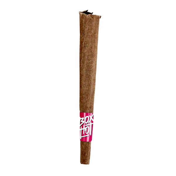 BOXHOT Fatties - Watermelon G Infused Blunt