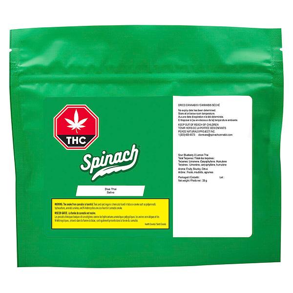 Spinach - Blue Thai image 4