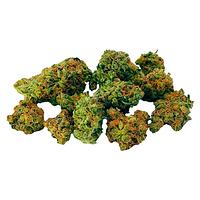 Dab Bods - Grape Limeade Botanical Buds