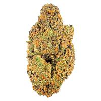 Sheeesh! - Coffin Candy