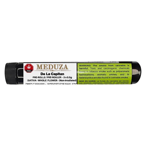 Meduza - Meduza's DE LA Capitan Pre-Roll image 2