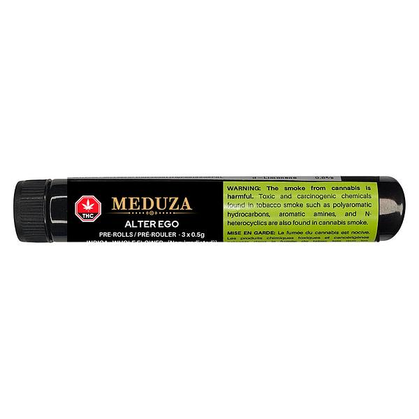 Meduza - Alter Ego Pre-Roll image 2