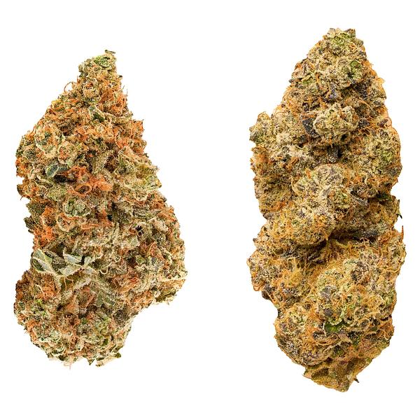 Redecan - Taster Series Variety Pack image 1