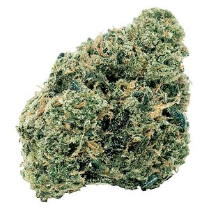 7ACRES - Northern OG Kush