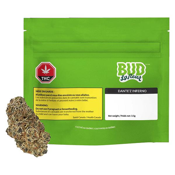 Bud Lafleur - Dante'z Inferno image 4