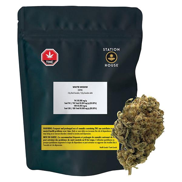 Station House - White Widow image 4