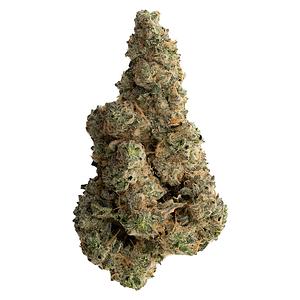 The Loud Plug - With Love from Scarborough - Craft Collective