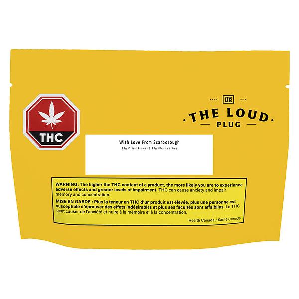 The Loud Plug - With Love from Scarborough - Craft Collective image 4
