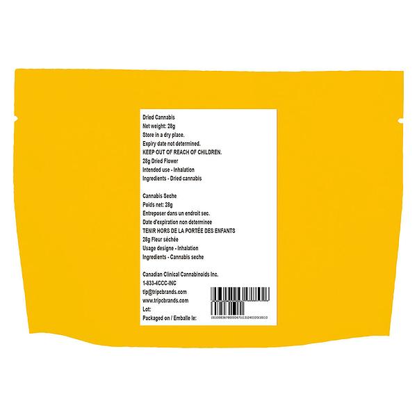 The Loud Plug - With Love from Scarborough - Craft Collective image 5