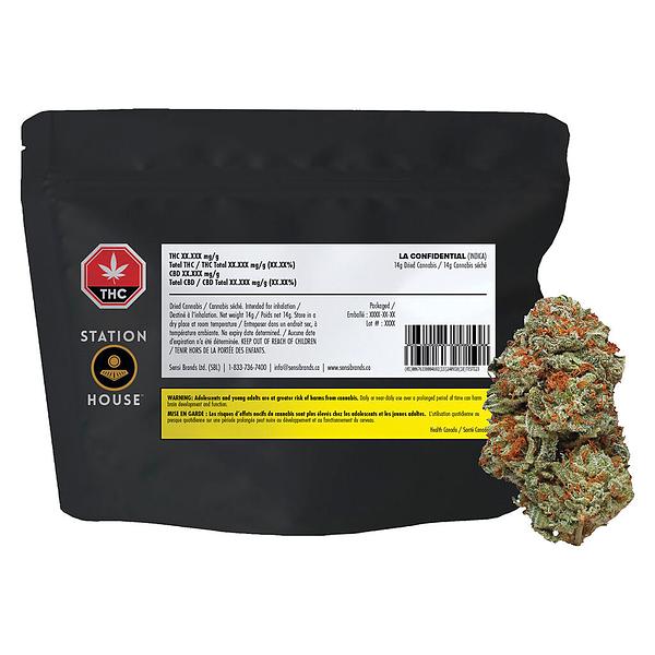 Station House - La Confidential image 5