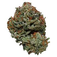 Weed Me - Fruity Pleasure