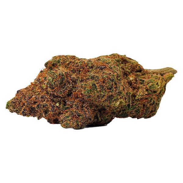 BOLD - Orange Crush image 1