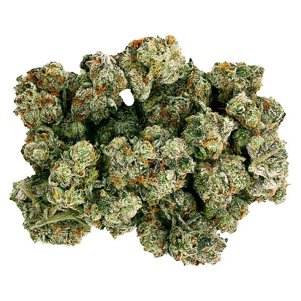 Starting Point! - Frenchy Macaroni image 1