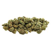 Electric Lettuce - Fruit Punched - Smalls