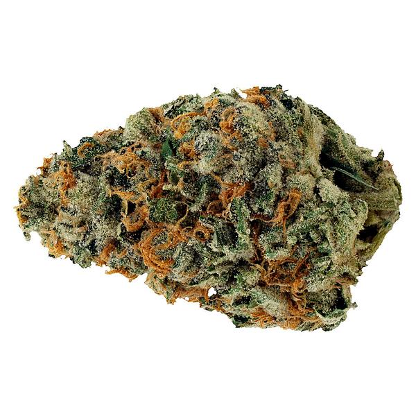 Starting Point! - Star Chase image 1