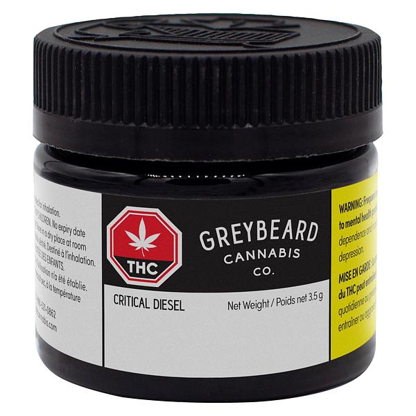 Greybeard - Critical Diesel image 2