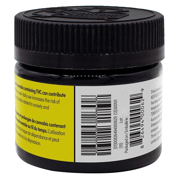 Greybeard - Critical Diesel image 3